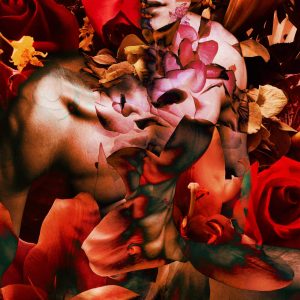 Rango RoseRed